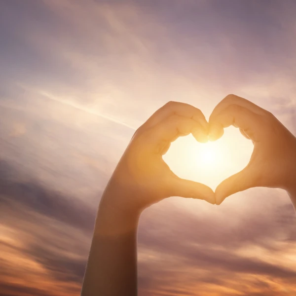 I Stock Nastco Nyhetsbrev til DKP